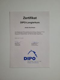 DiPO Longierabzeichen